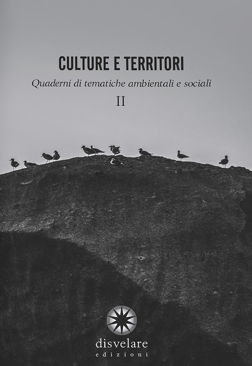 Culture e territori. Vol. 2