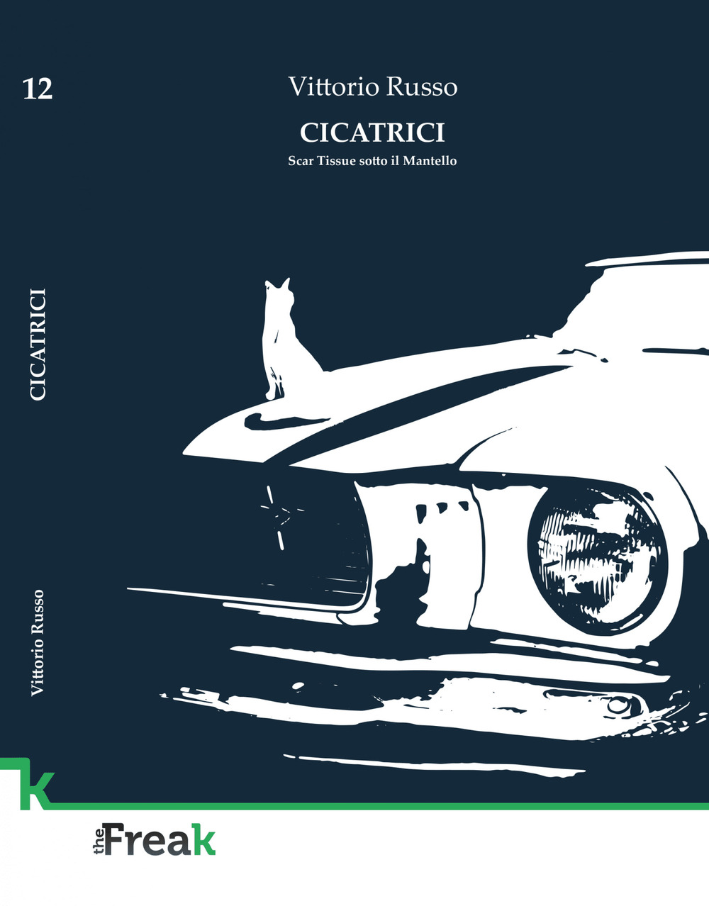 Cicatrici. Scar Tissue sotto il mantello