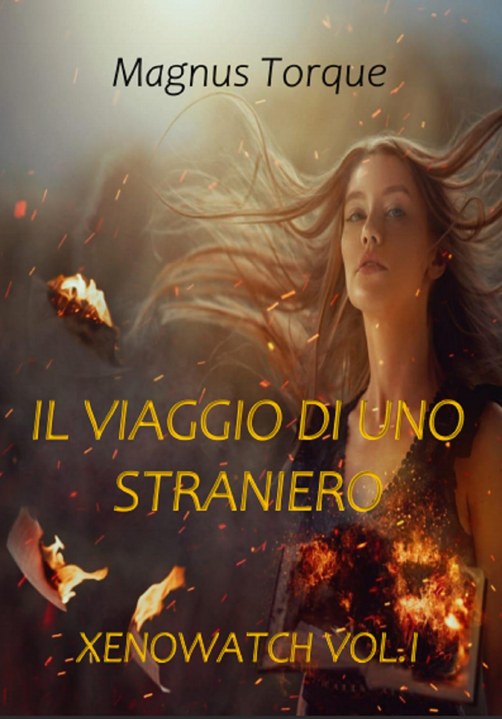Il viaggio di uno straniero