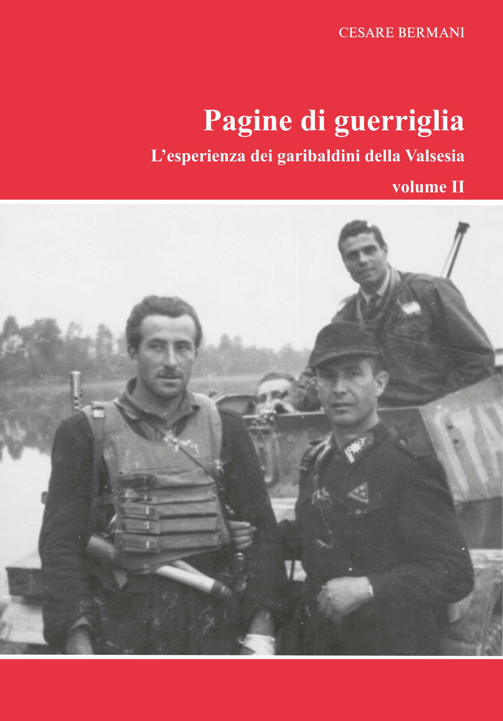 Pagine di guerriglia. L'esperienza dei garibaldini della Valsesia. Vol. 2