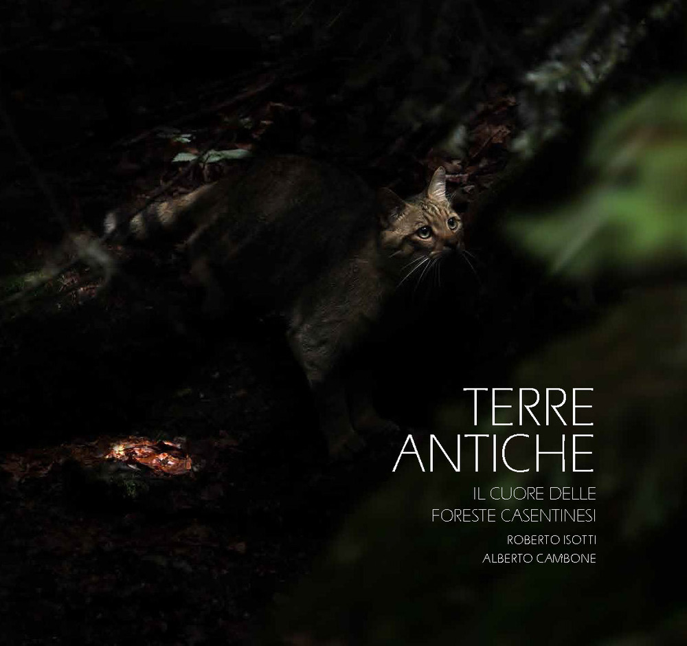 Terre antiche. Il cuore delle foreste Casentinesi