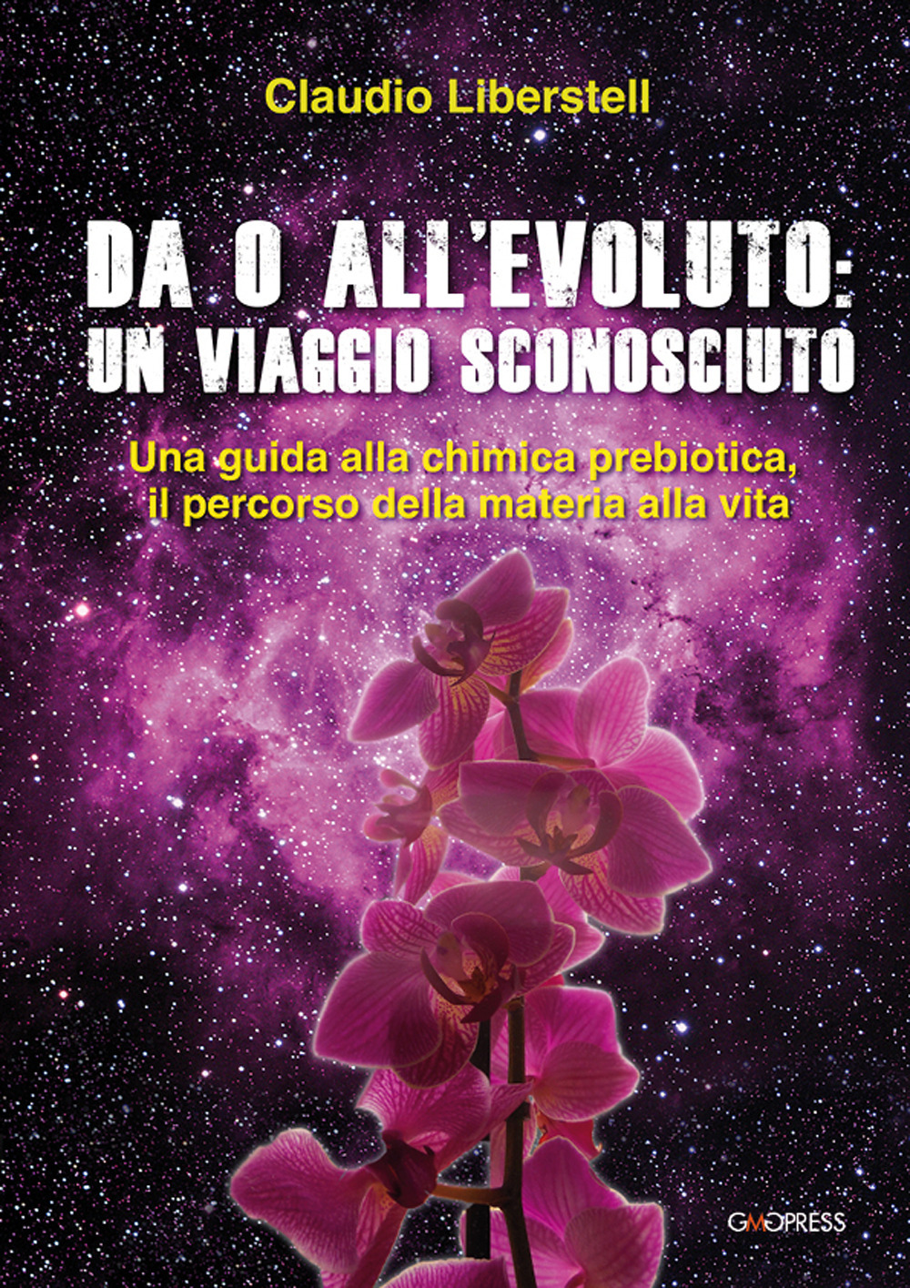 Da 0 all'evoluto: un viaggio sconosciuto. Una guida alla chimica prebiotica, il percorso della materia alla vita