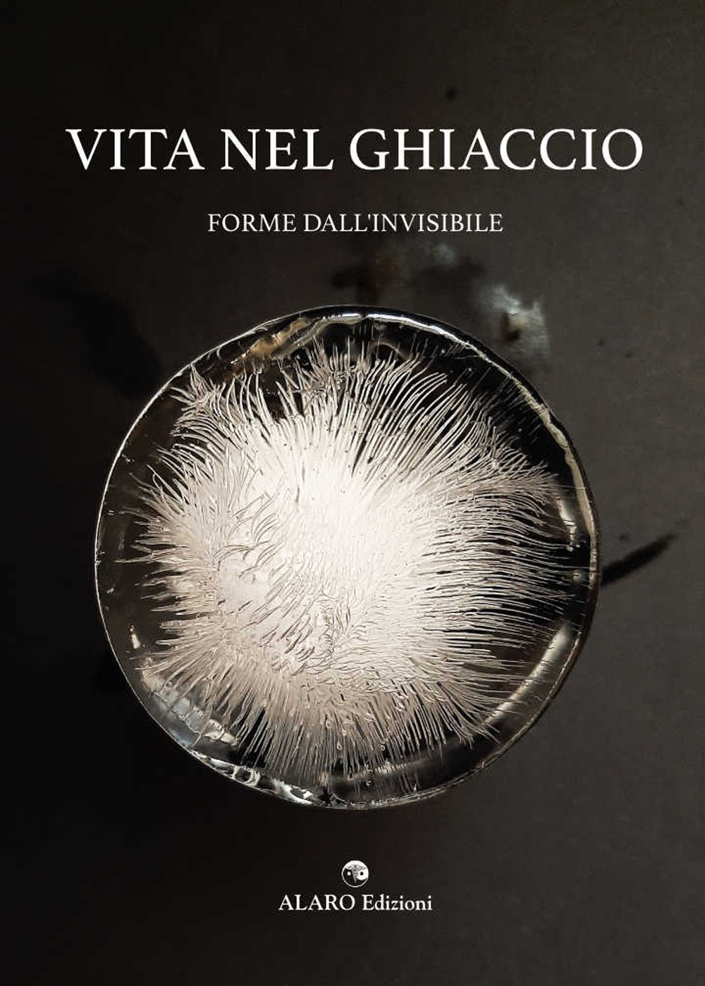 Vita nel ghiaccio. Le forme dall'invisibile