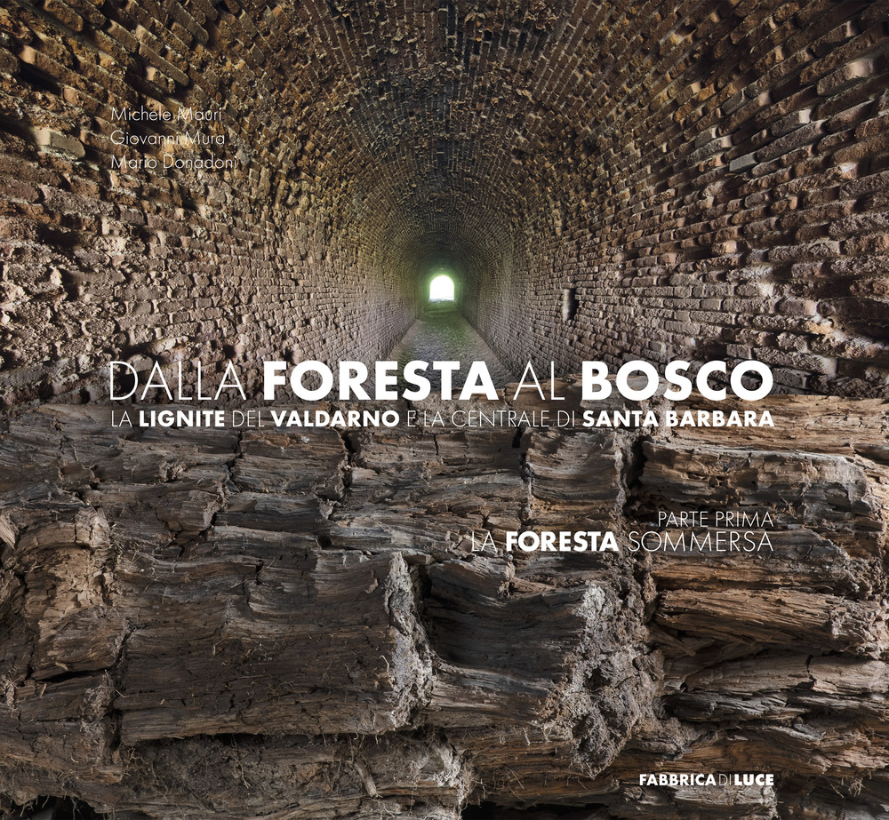 Dalla foresta al bosco. La lignite del Valdarno e la centrale di Santa Barbara. Parte prima: la foresta sommersa