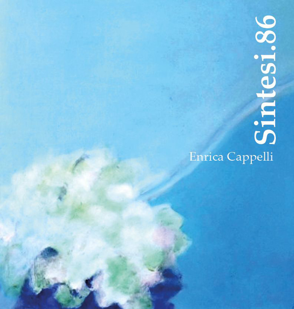 Sintesi.86 di Enrica Cappelli