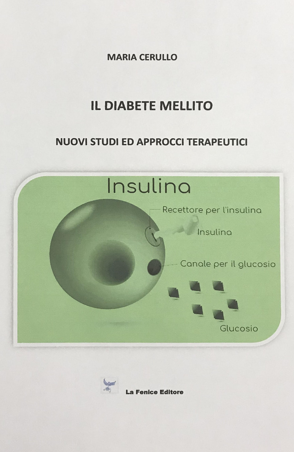 Il diabete mellito. Nuovi studi ed approcci terapeutici