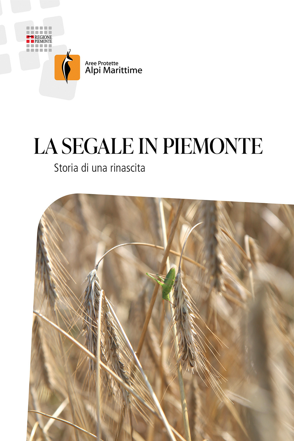 La segale in Piemonte. Storia di una rinascita