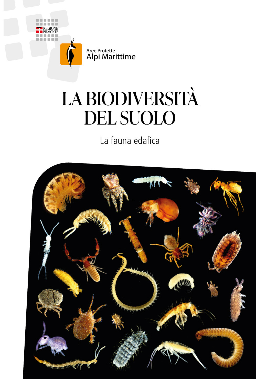 La biodiversità del suolo. La fauna edafica