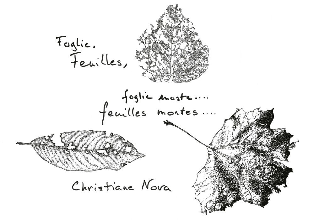 Foglie, foglie morte...-Feuilles, feuilles mortes...