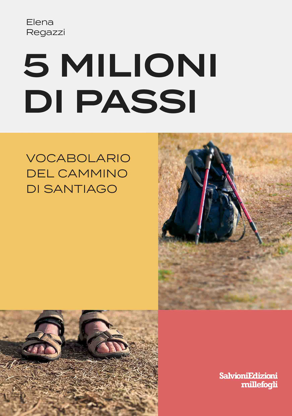 5 milioni di passi. Vocabolario del Cammino di Santiago