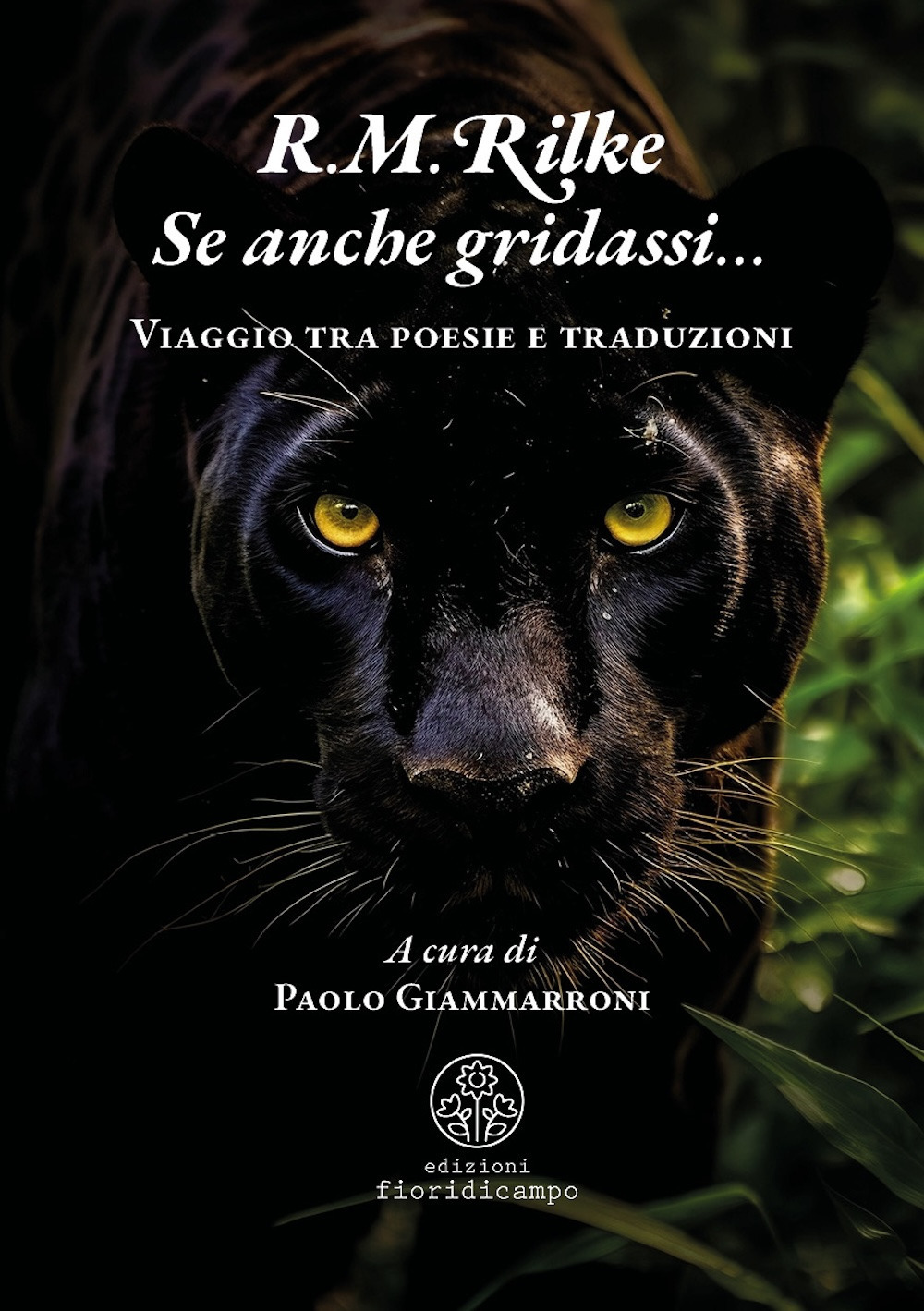 Se anche gridassi… Viaggio tra poesie e traduzioni