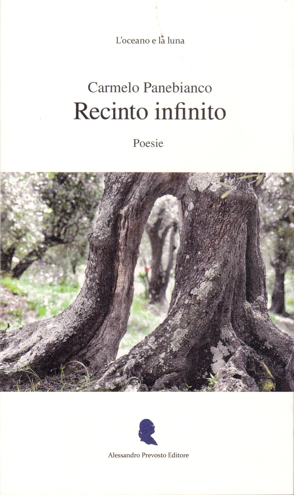 Recinto infinito