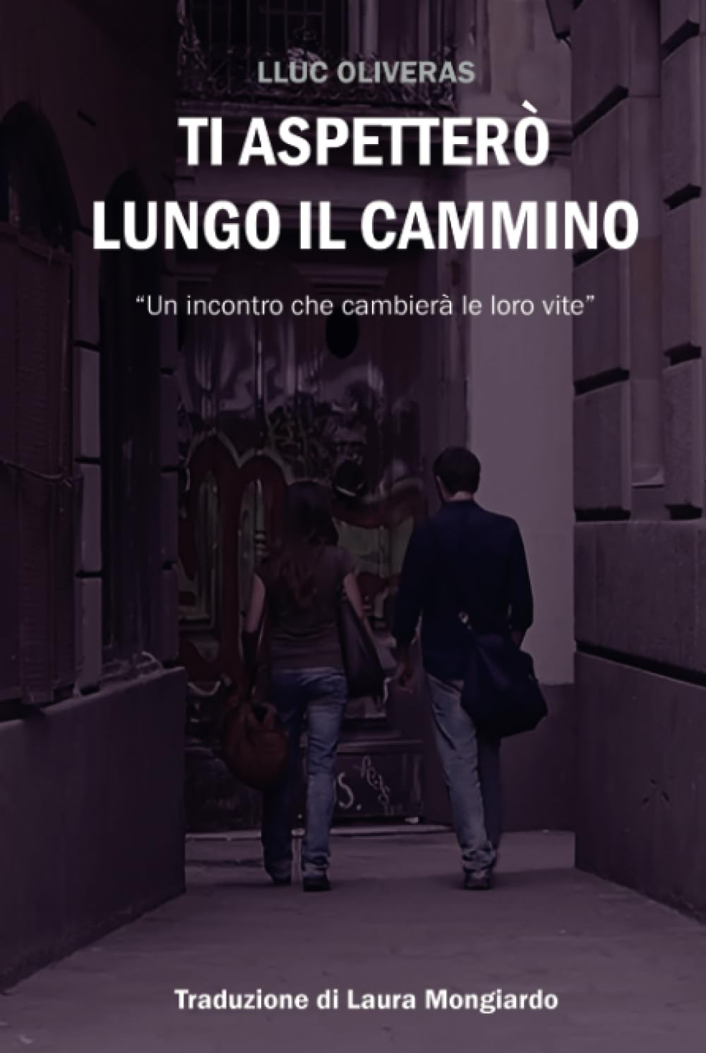 Ti aspetterò lungo il cammino. Un incontro che cambierà le loro vite