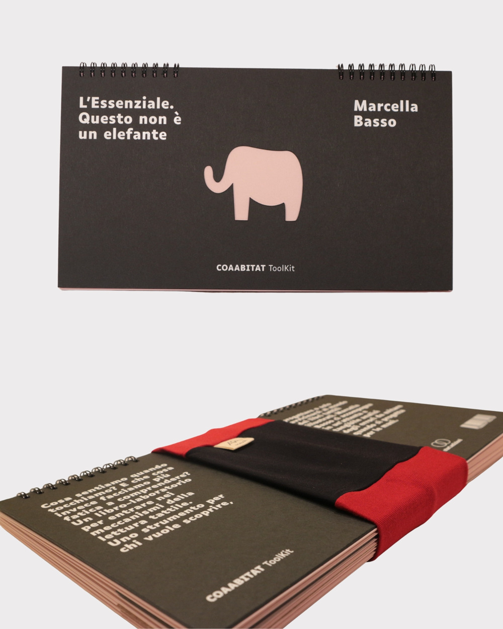 L'essenziale. Questo non è un elefante