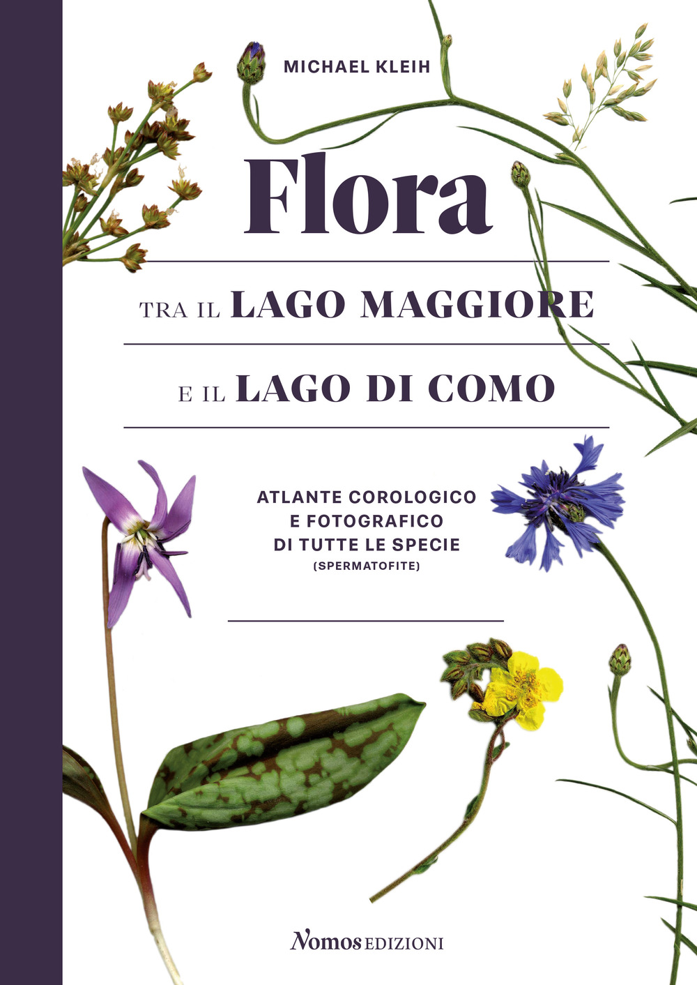 Flora tra il Lago Maggiore e il Lago di Como. Atlante corologico e fotografico di tutte le specie (spermatofite)