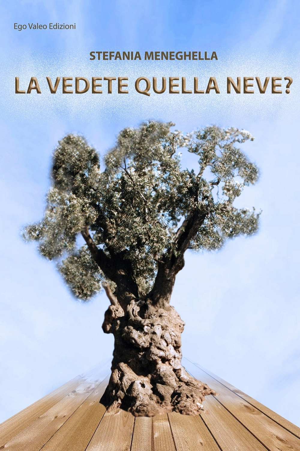 La vedete quella neve?