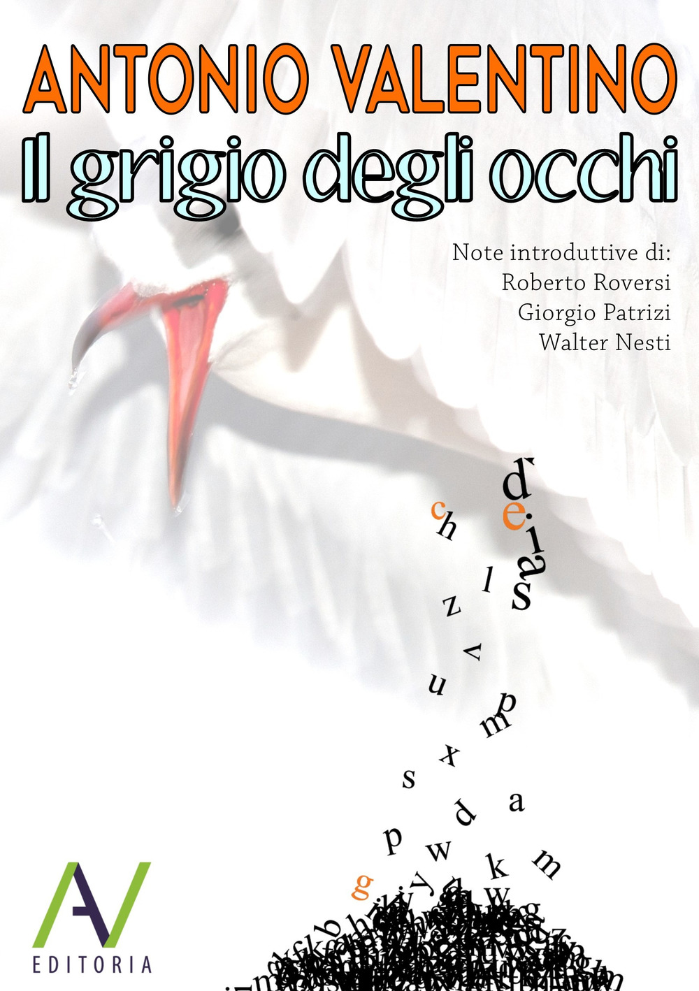 Il grigio degli occhi