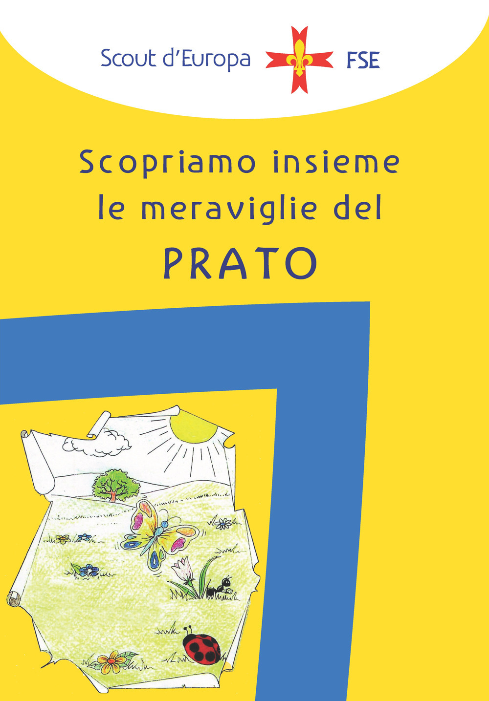 Il campo di orientamento al servizio. Scopriamo insieme le meraviglie del prato