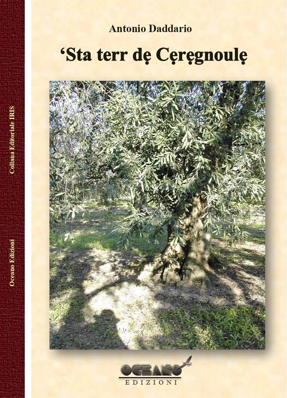 ‘Sta terr dẹ Cẹrẹgnoulẹ