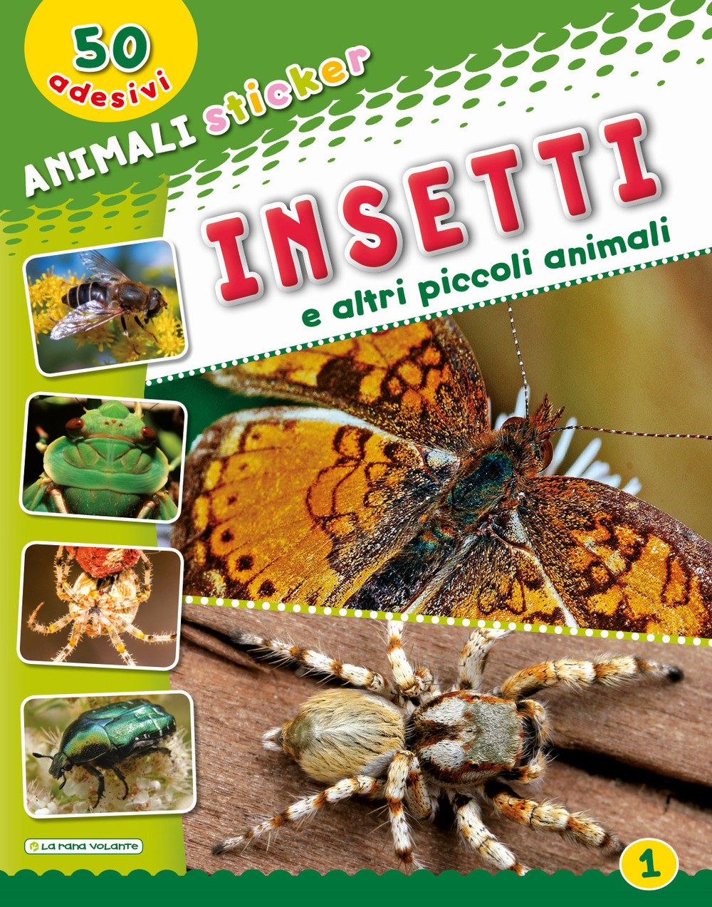 Insetti e altri piccoli animali