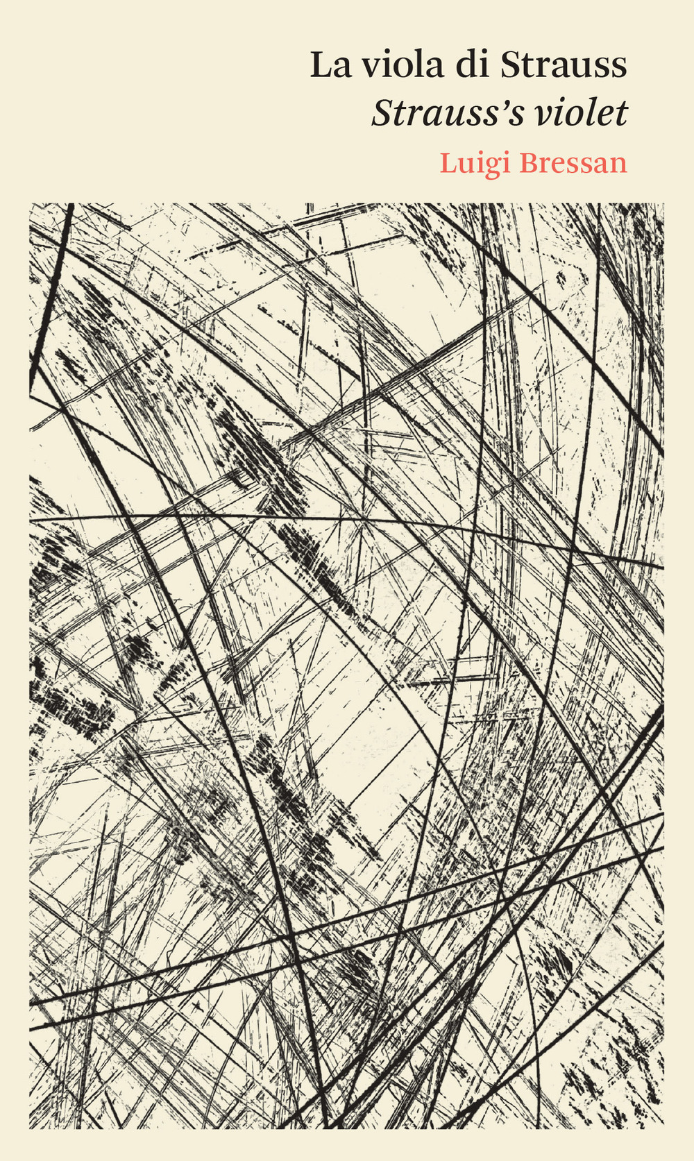 La viola di Strauss-Strauss' violet