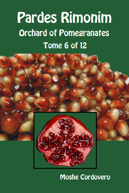 Pardes Rimonim. Orchard of Pomegranates. Ediz. aramaica, ebraica e inglese. Vol. 6