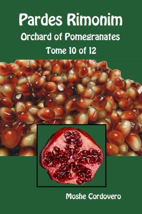 Pardes Rimonim. Orchard of Pomegranates. Ediz. aramaica, ebraica e inglese. Vol. 10