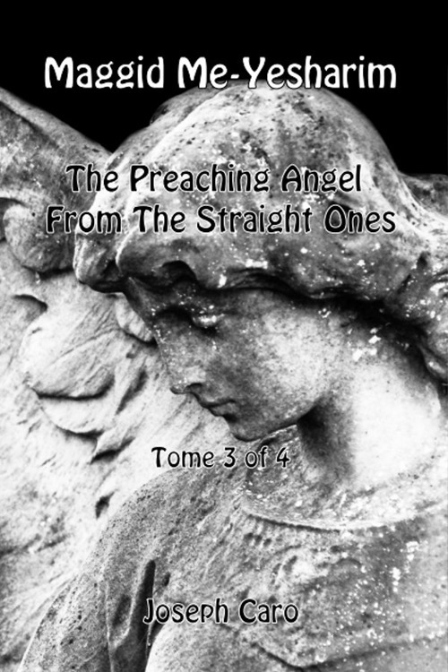 Maggid Me-Yesharim. The preaching angel from the straight ones. Ediz. ebraica e inglese. Vol. 3