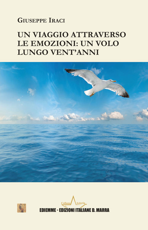 Un viaggio attraverso le emozioni: un volo lungo vent'anni