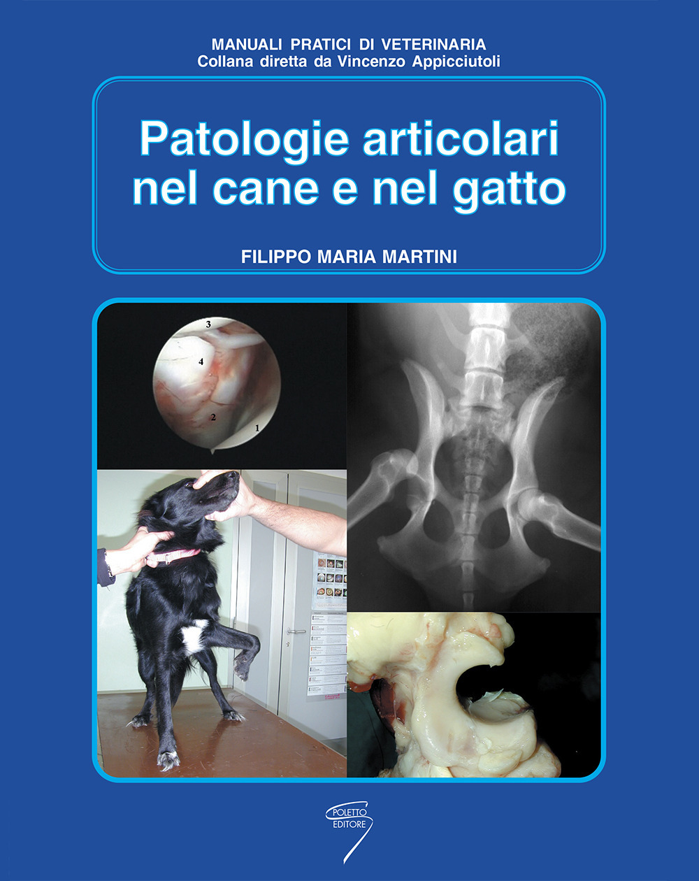 Patologie articolari nel cane e nel gatto