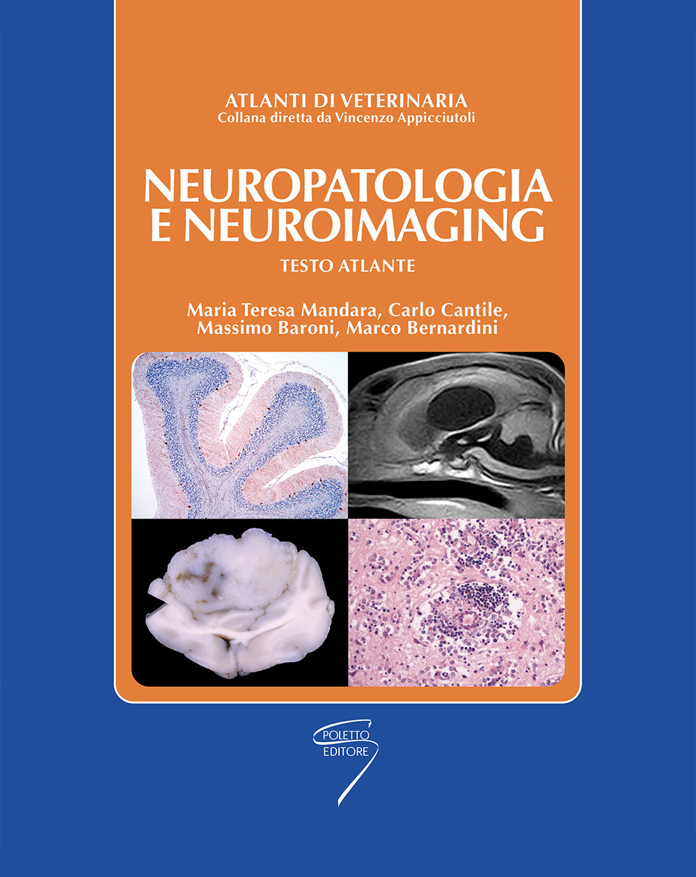 Neuropatologia e neuroimaging. Testo atlante