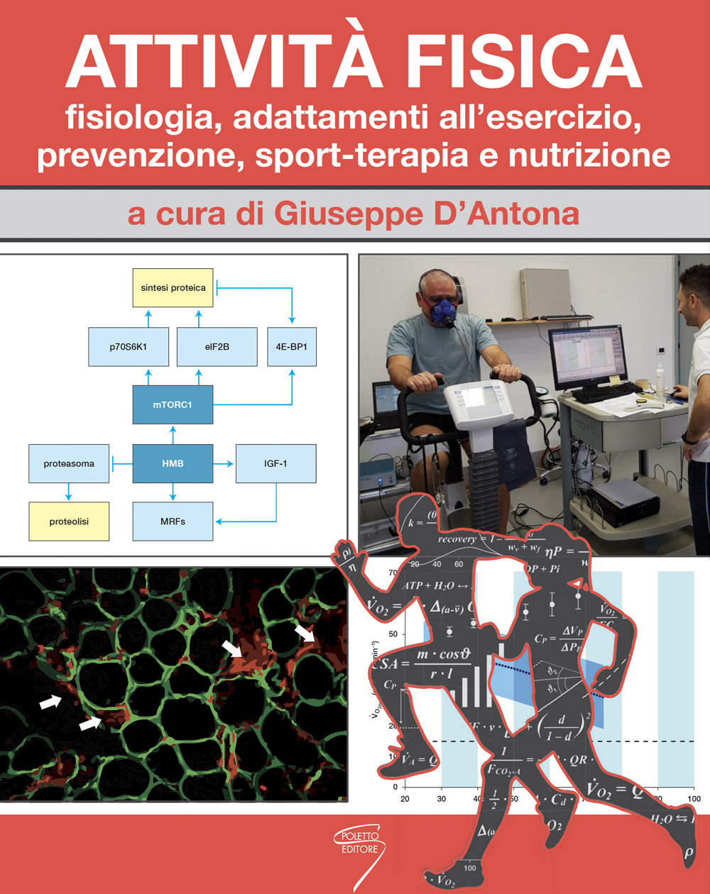 Attività fisica. Fisiologia, adattamenti all'esercizio, prevenzione, sport-terapia e nutrizione
