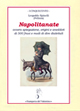 Napolitanate. Ovvero spiegazione, origini e aneddoti di 500 frasi e modi di dire dialettali