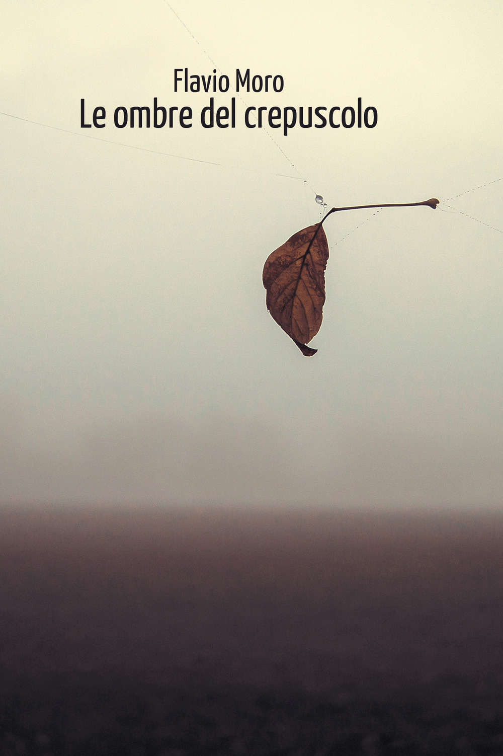 Le ombre del crepuscolo