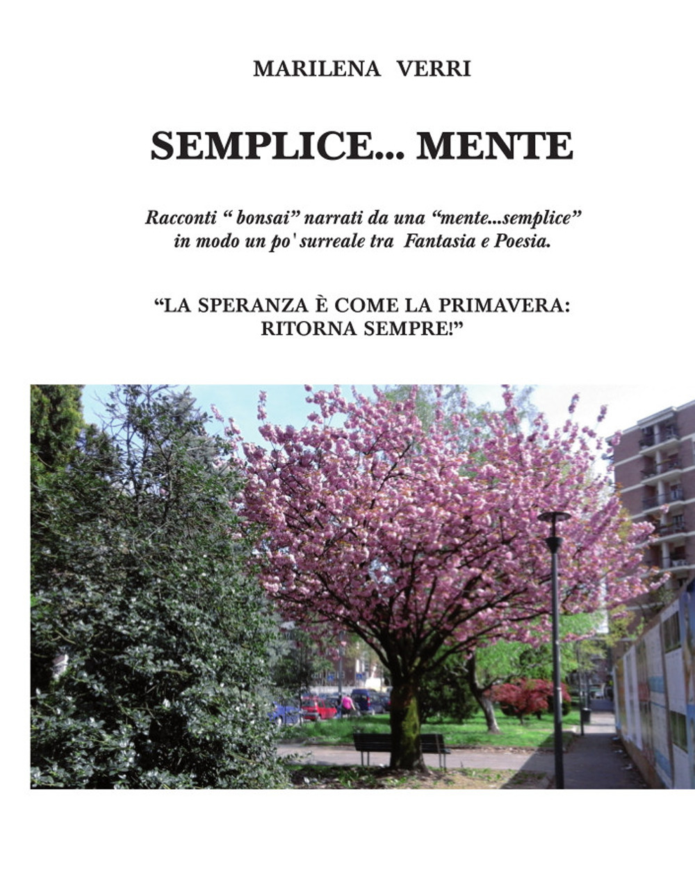 Semplice... mente. Racconti «bonsai» narrati da una «mente... semplice» in modo un po' surreale tra fantasia e poesia