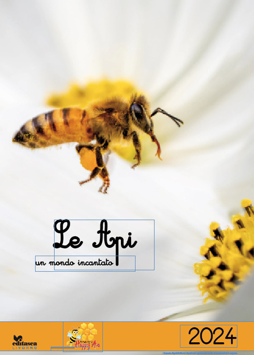 Le api. Un mondo incantato 2024