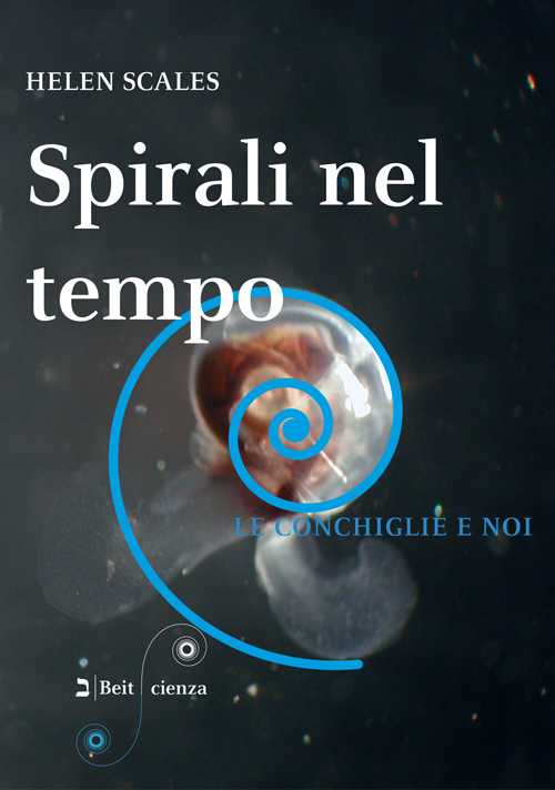Spirali nel tempo. Le conchiglie e noi