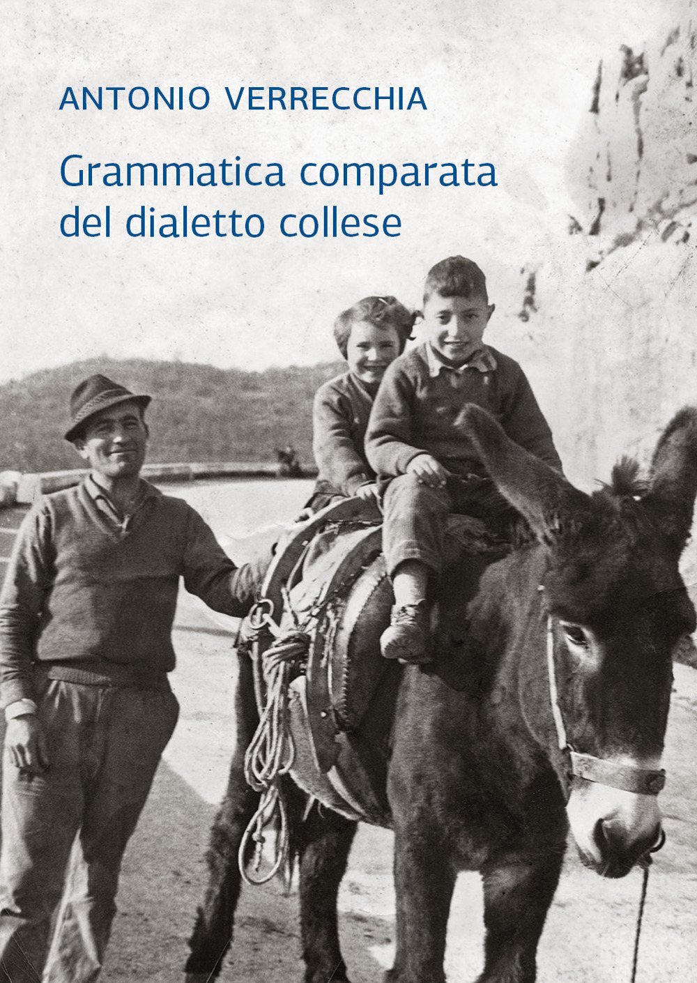 Grammatica comparata del dialetto collese