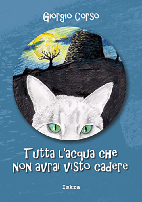 Tutta l'acqua che non avrai visto cadere