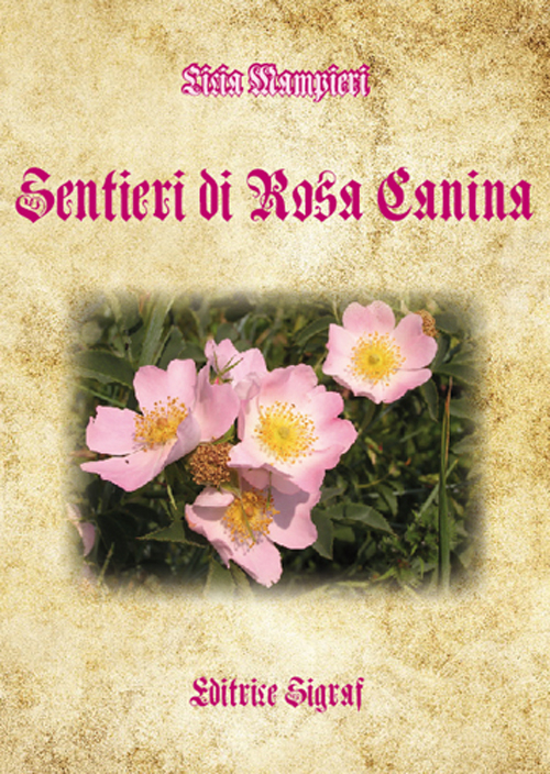 Sentieri di rosa canina