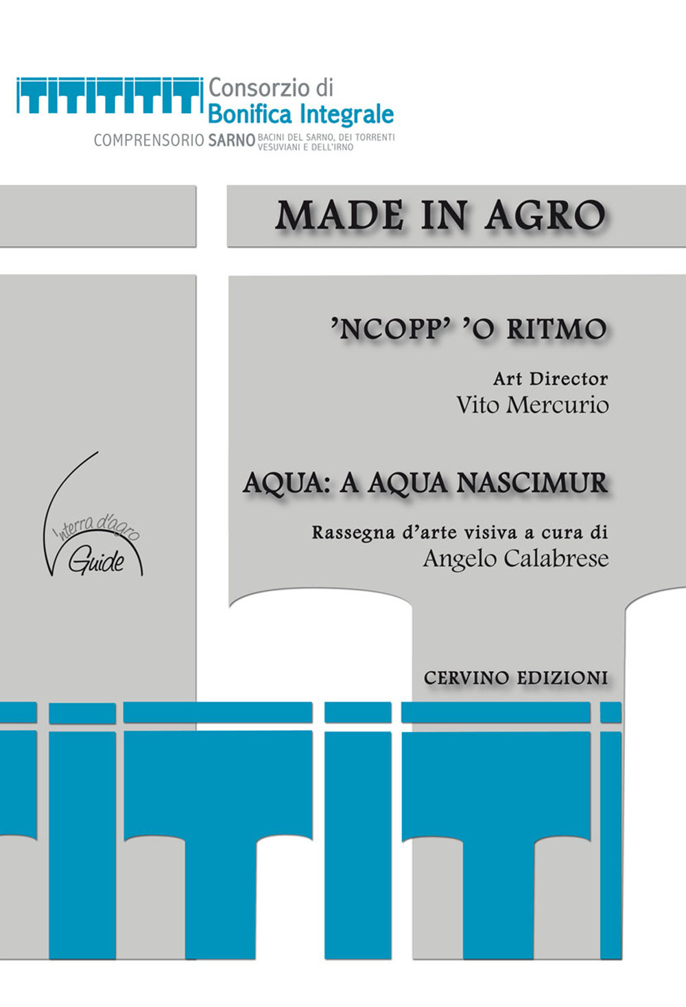 Made in agro. 'Ncopp' 'o ritmo. Aqua: a aqua nascimur. Catalogo della mostra