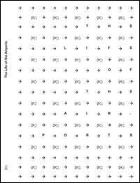 The life of the airports