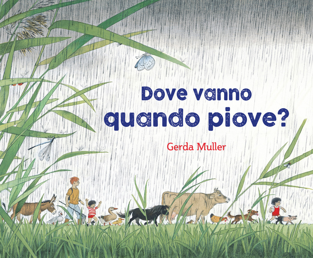Dove vanno quando piove?