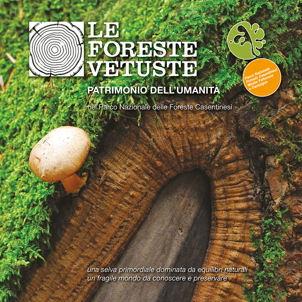 Le foreste vetuste patrimonio dell’umanità nel Parco nazionale delle foreste casentinesi