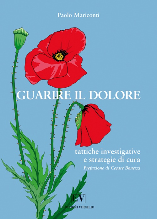 Guarire il dolore. Tattiche investigative & strategie di cura