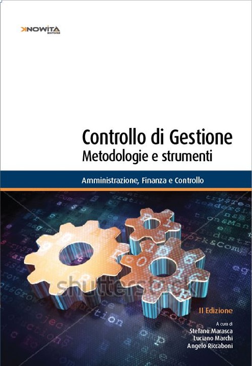 Controllo di gestione. Metodologie e strumenti