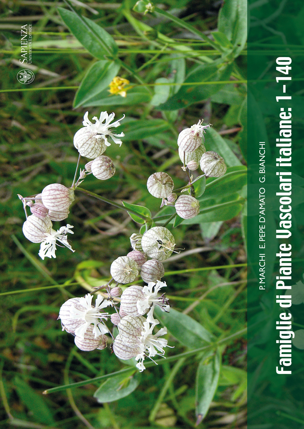 Famiglie di piante vascolari italiane 1-140