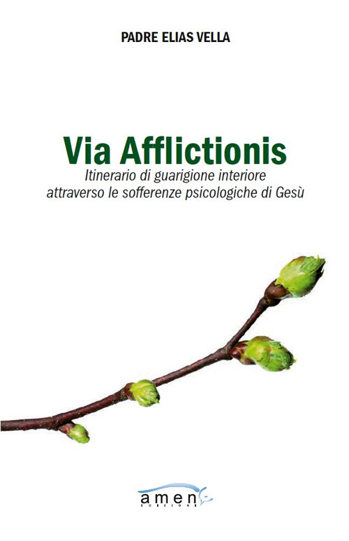 Via afflictionis. Itinerario di guarigione interiore attraverso le sofferenze psicologiche di Gesù