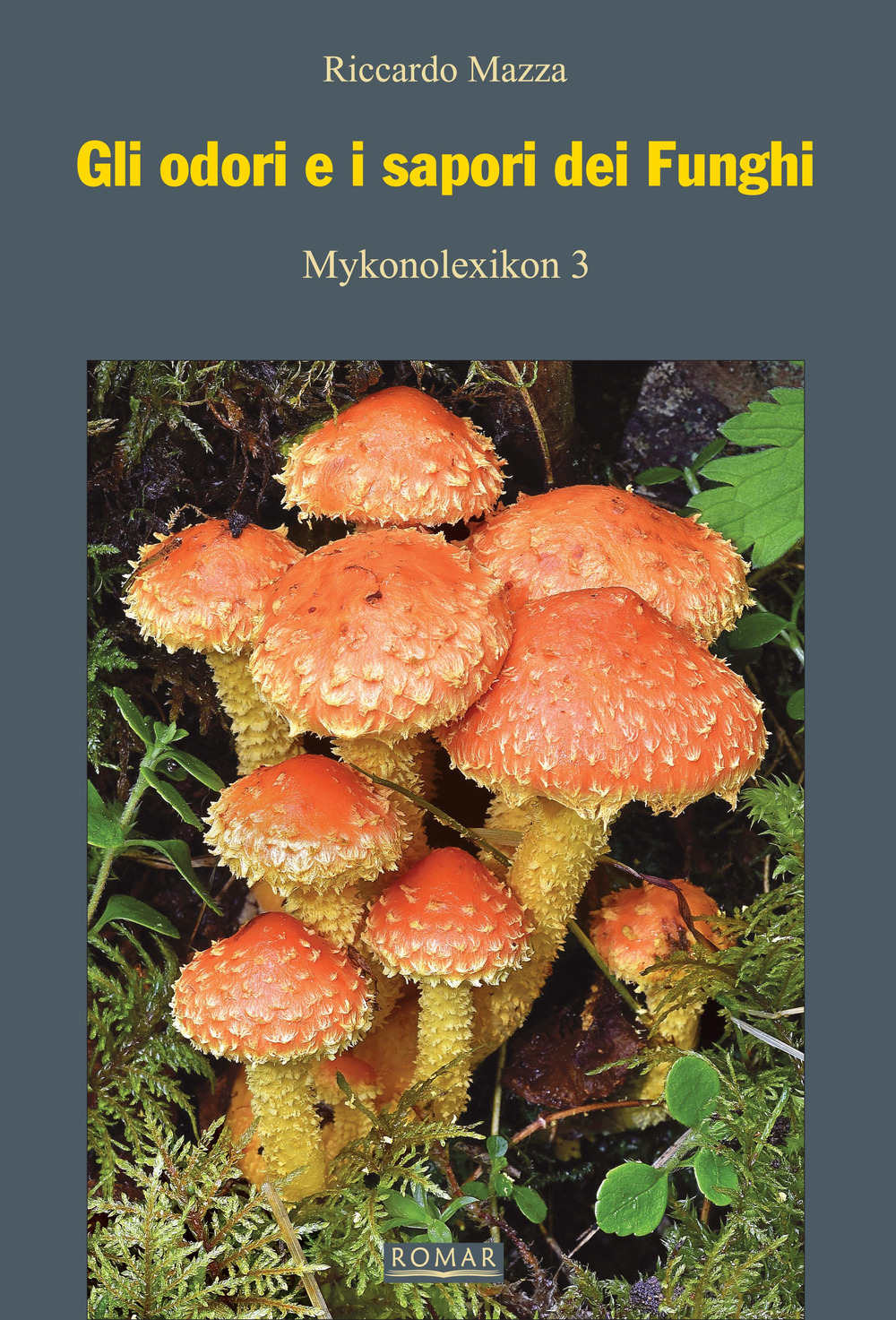 Gli odori e i sapori dei funghi