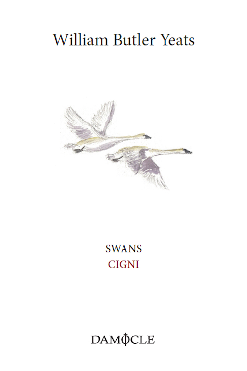 Swans-Cigni